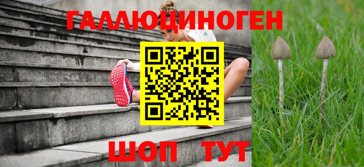 Псилоцибиновые грибы Psilocybine cubensis  Вход с VPN  Гусев 
