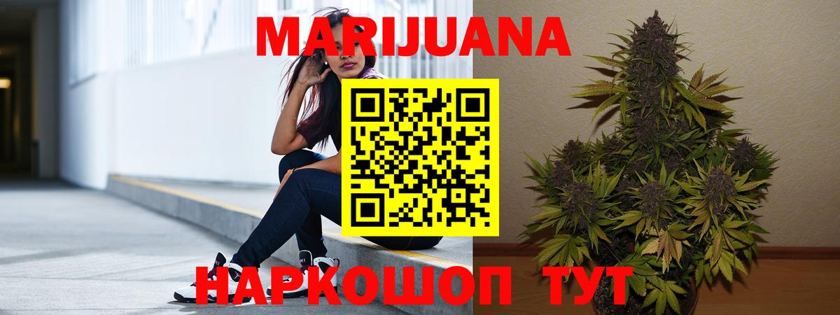 Бошки Шишки гибрид  Бошки Шишки ГИДРОПОН  Вход с VPN  Гусев 